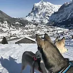 Carve - Eiger, Moench And Jungfrau * Grindelwald