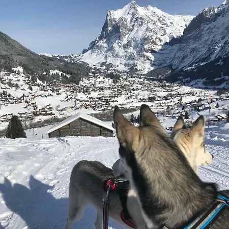 Carve - Eiger, Moench And Jungfrau * 格林德瓦