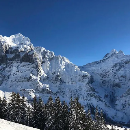 דירה Carve - Eiger, Moench And Jungfrau