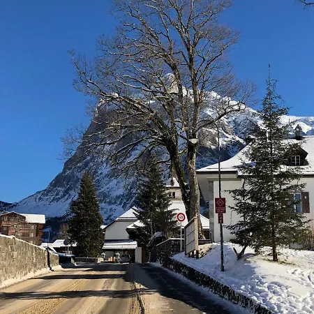 Carve - Eiger, Moench And Jungfrau 公寓 格林德瓦