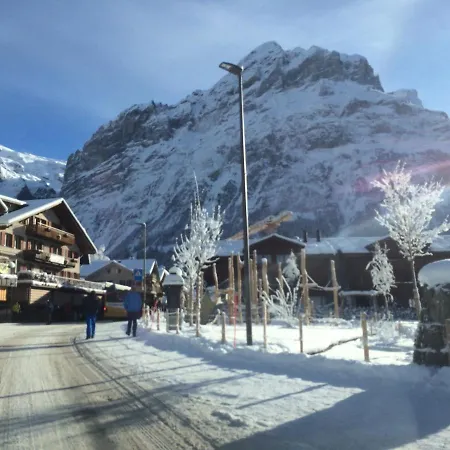 Carve - Eiger, Moench And Jungfrau דירה גרינדלוולד