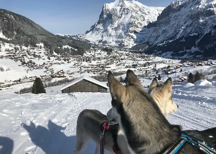 Carve - Eiger, Moench And Jungfrau * גרינדלוולד