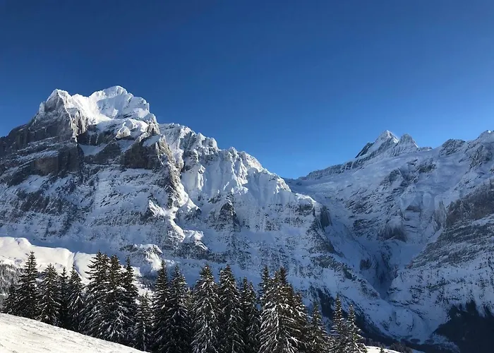 Apartamento Carve - Eiger, Moench And Jungfrau