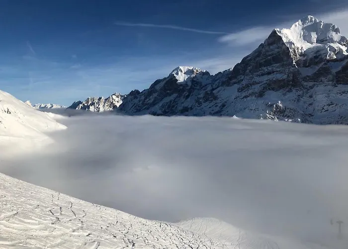 Carve - Eiger, Moench And Jungfrau 아파트 *